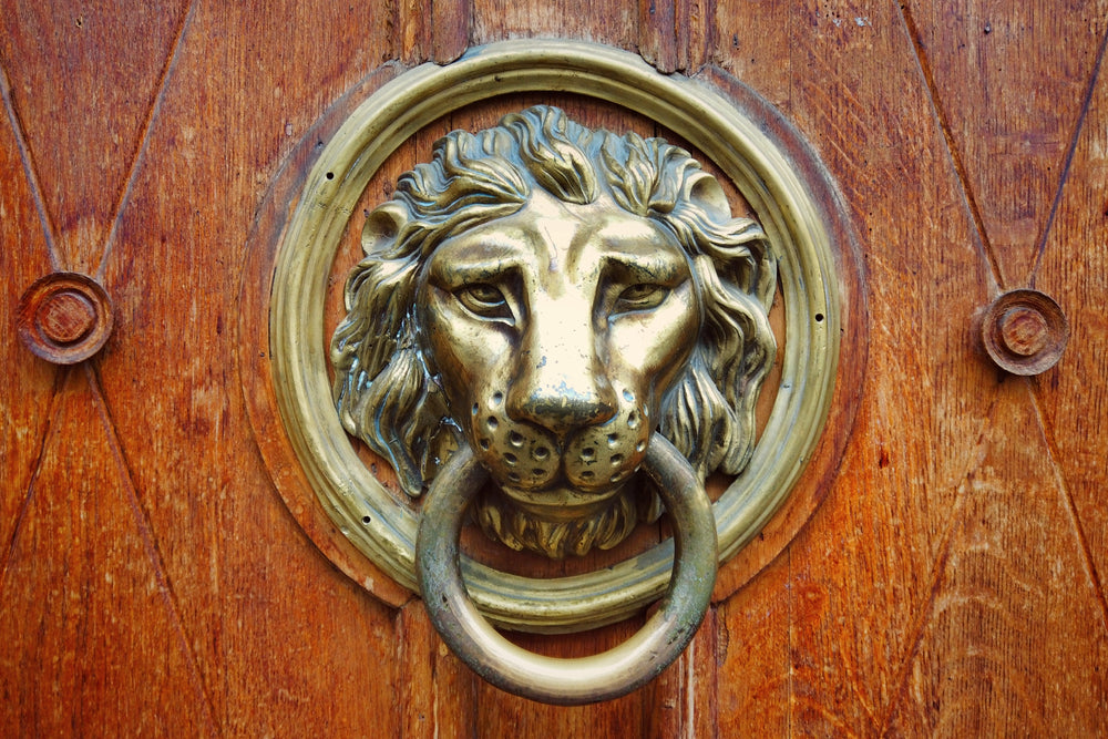 The 8:8 Lion’s Gate Portal Activation 2022- Astrology by Melody