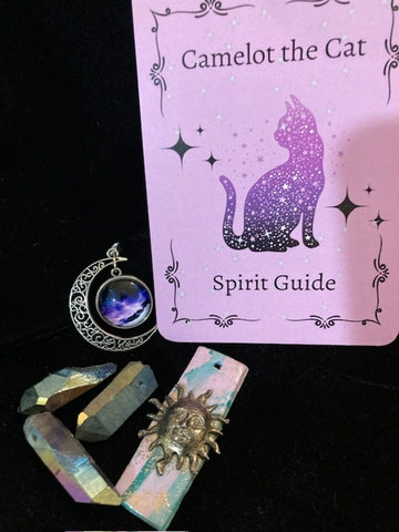 Camelot the Cat Spirit Guide Oracle Deck