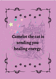 Camelot the Cat Spirit Guide Oracle Deck