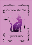 Camelot the Cat Spirit Guide Oracle Deck