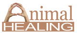 Healing with Animals Masterclass online at Astrology by Melody