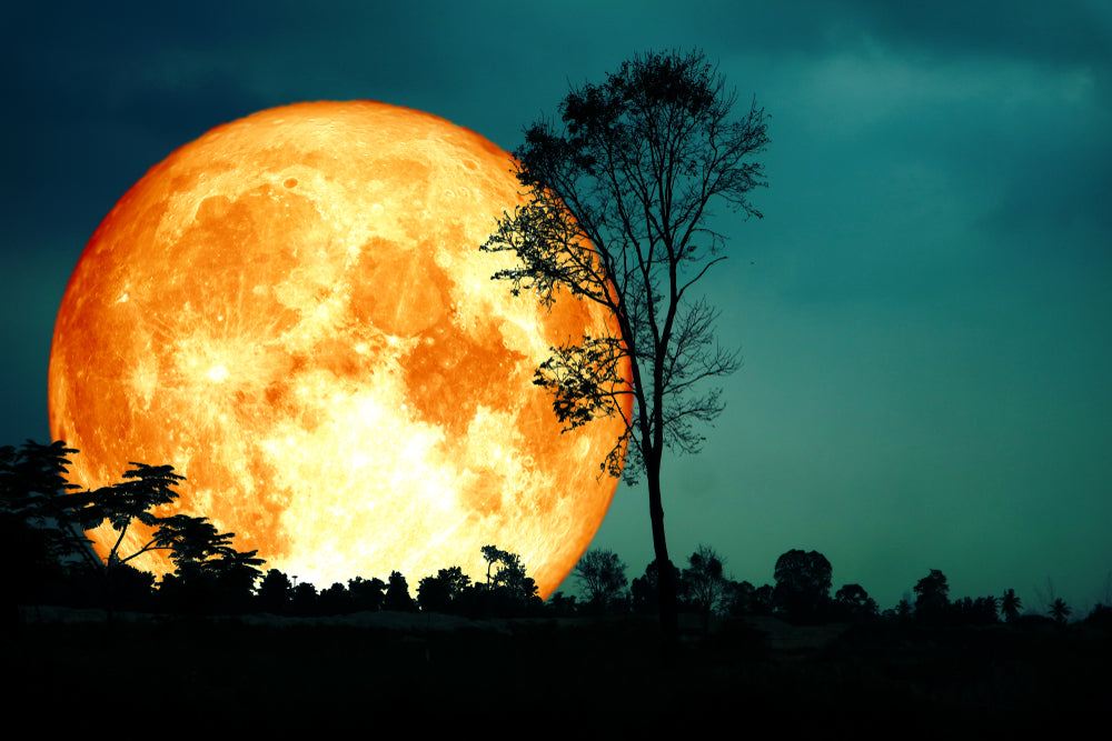 Full Harvest Moon in Aries & Astrological Moon Aspects Forecast- September 29, 2023