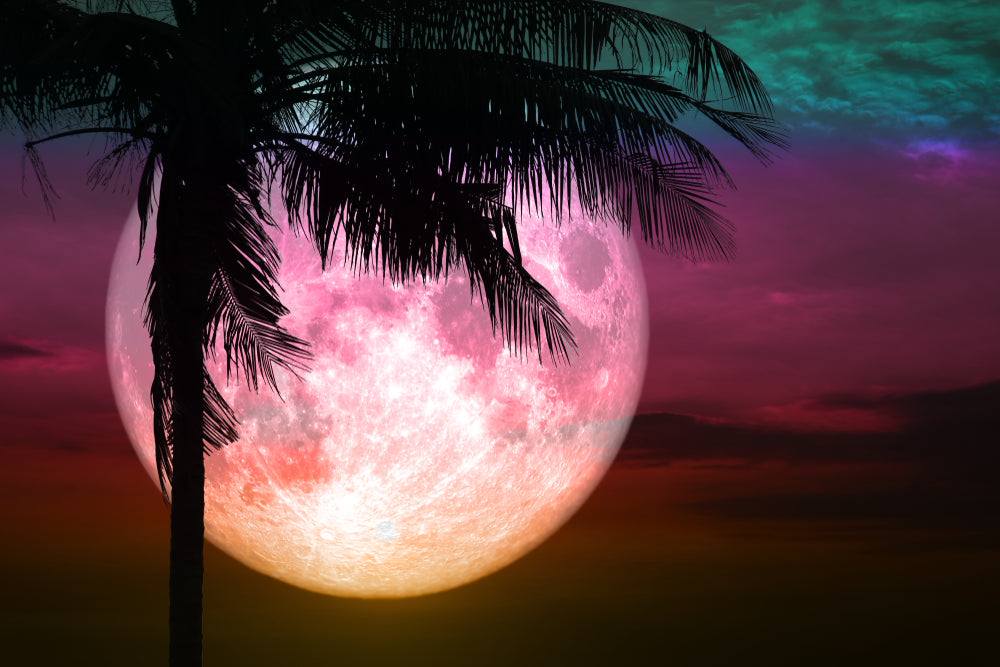 Full Strawberry Moon in Sagittarius- June 14, 2022- Astrology by Melody