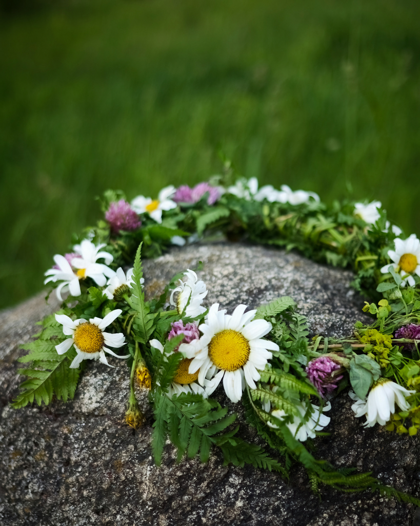 New Moon in Pisces and Upcoming Spring Solstice- March 18, 2026