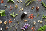The Elemental Magic of Essential oils and Plants Workbook